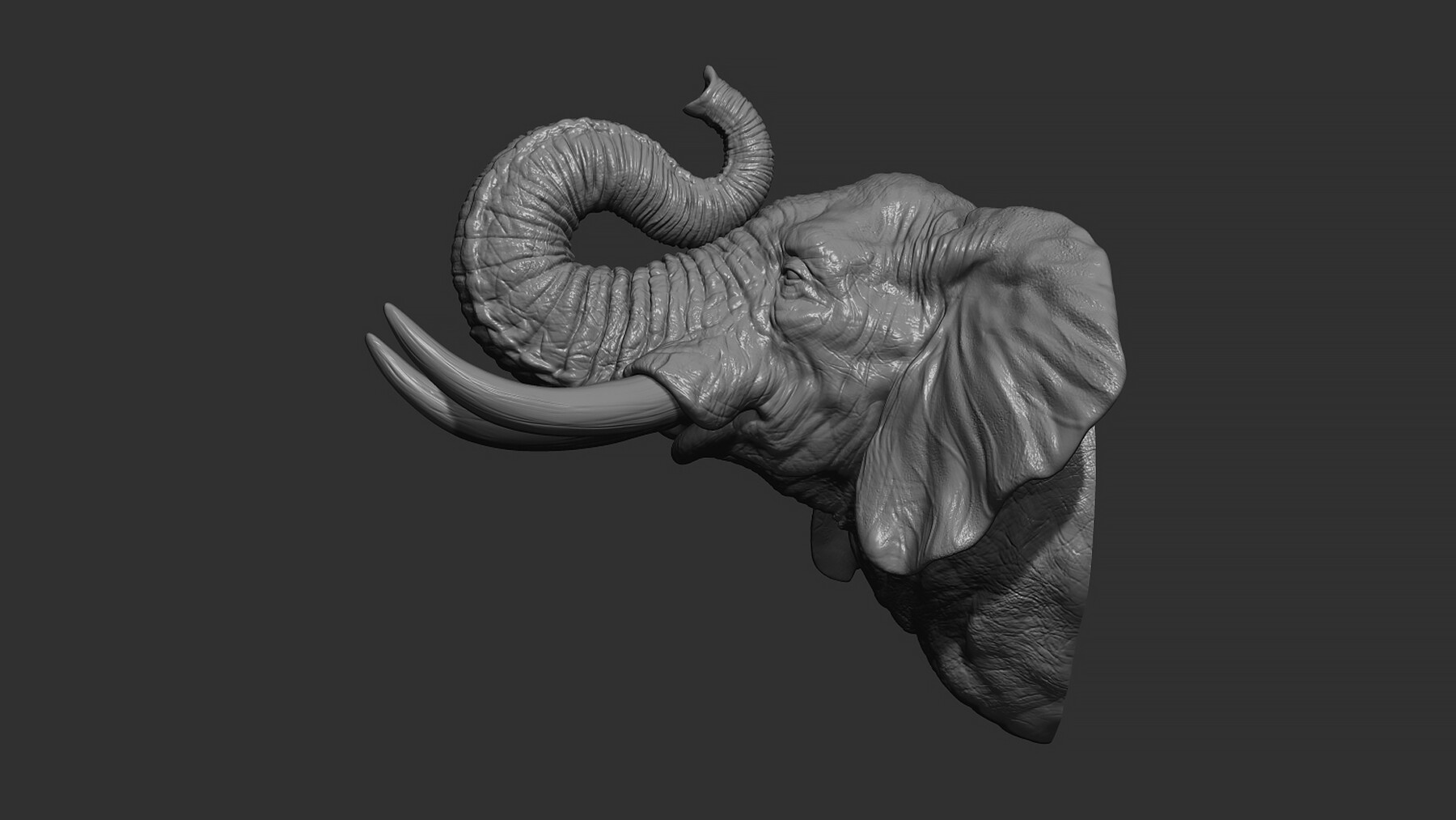 ArtStation - Elephant raised its trunk | Resources