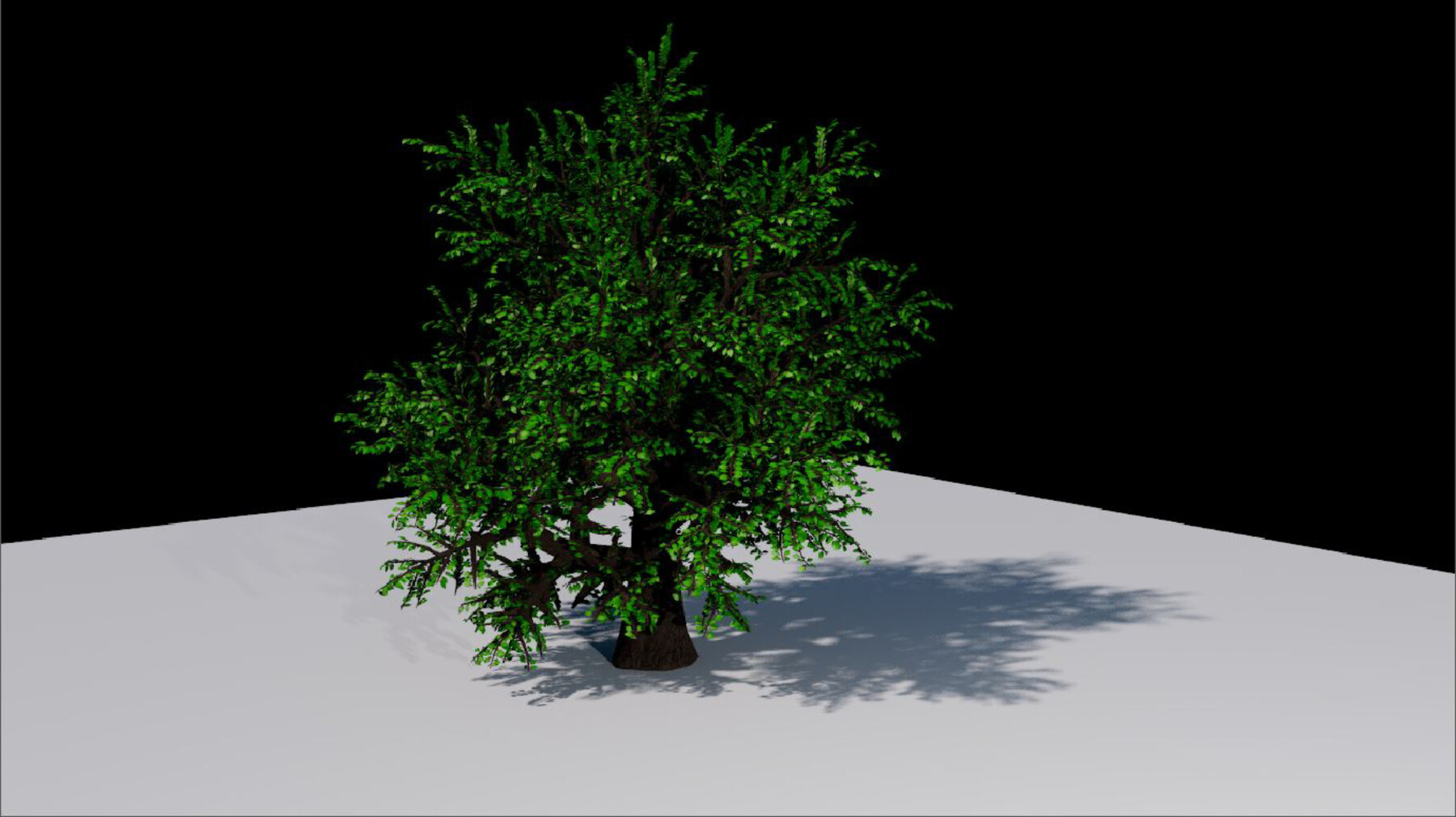 ArtStation - Oak Tree | Resources
