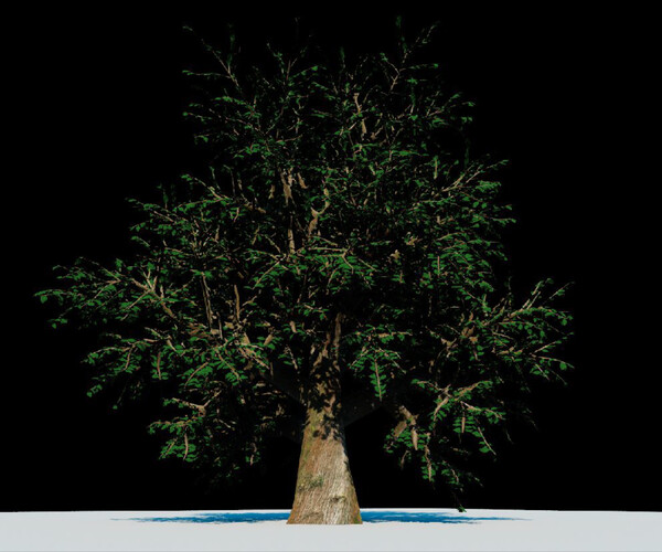 ArtStation - Oak Tree | Resources
