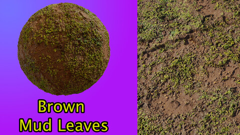 Materials & Textures - Ground Brown Mud Leaves 4k