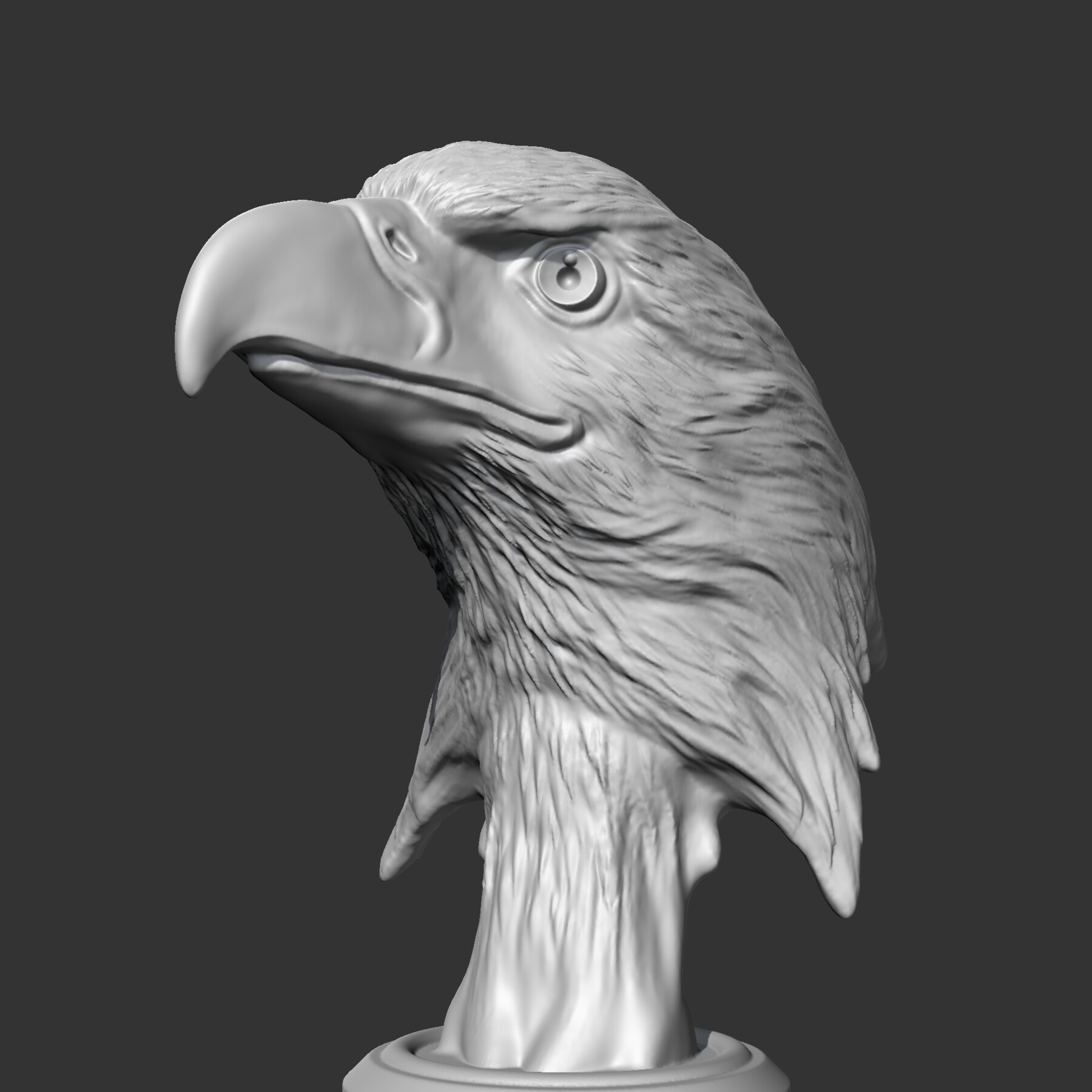 ArtStation - Bald Eagle Head AM07 3D print model | Resources