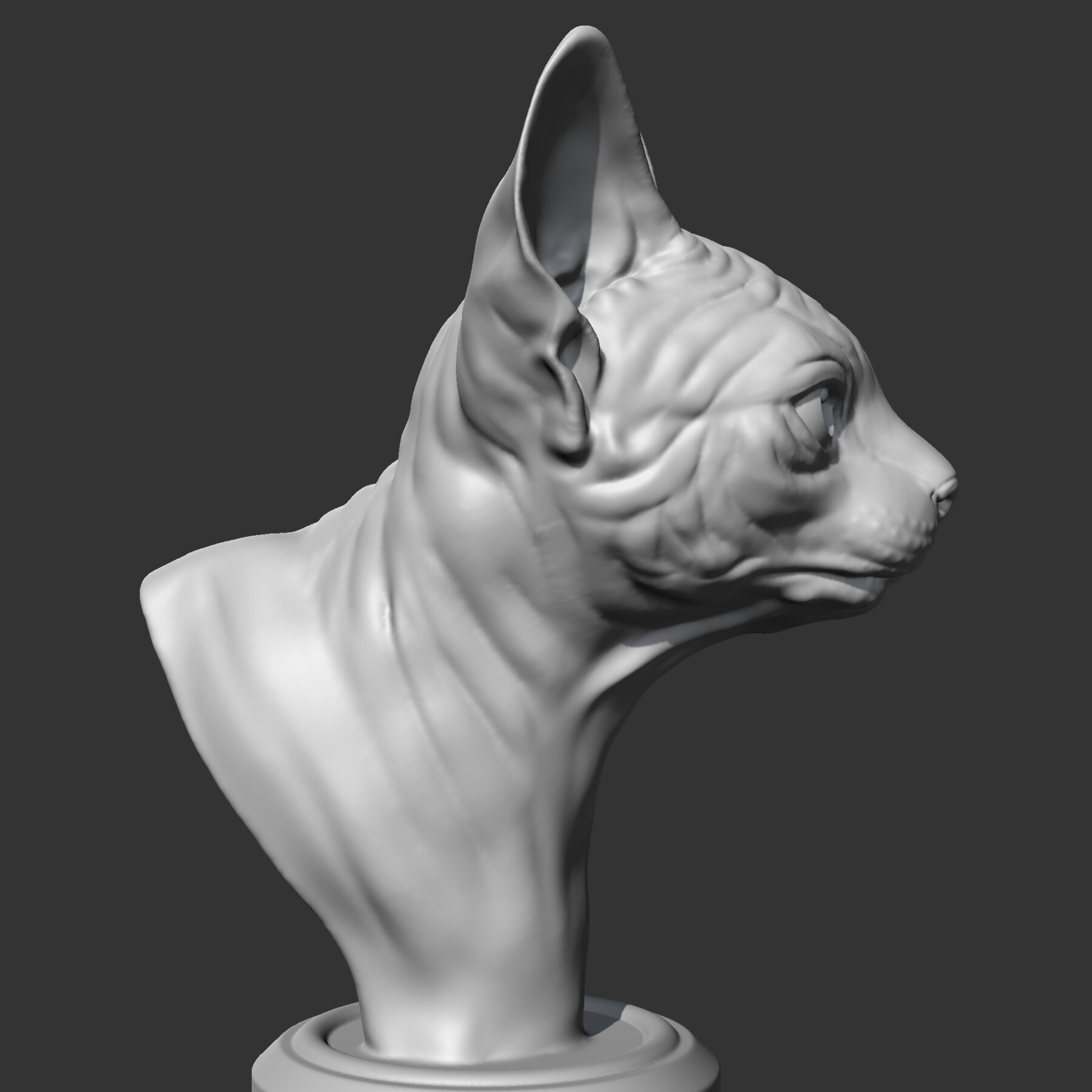 Artstation Sphynx Cat Head Am08 3d Print Model Resources