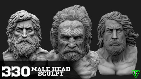 330 - Male Head Sculpt - References for Artist (More Than 8K Resolution)