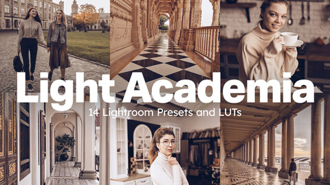 14 Light Academia Lightroom Presets and LUTs