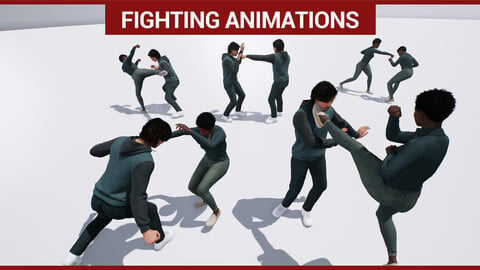 Fighting Animations (Motion-Capture / Metahuman)