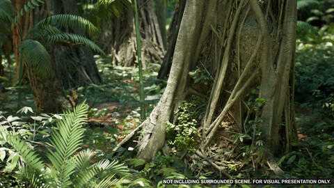 Banyan Tree Trunk Photogrammetry Scan 3D Model