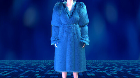 NFT-Ladies Fur Dress