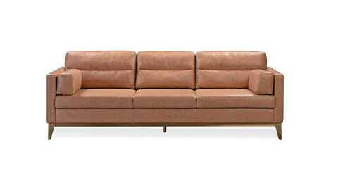 Sofa #21