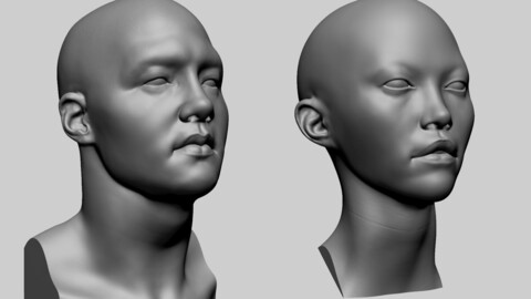 Male and Female Head for 3DPrint