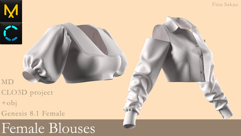 Female Blouses #3. Marvelous Designer / Clo 3D project +obj