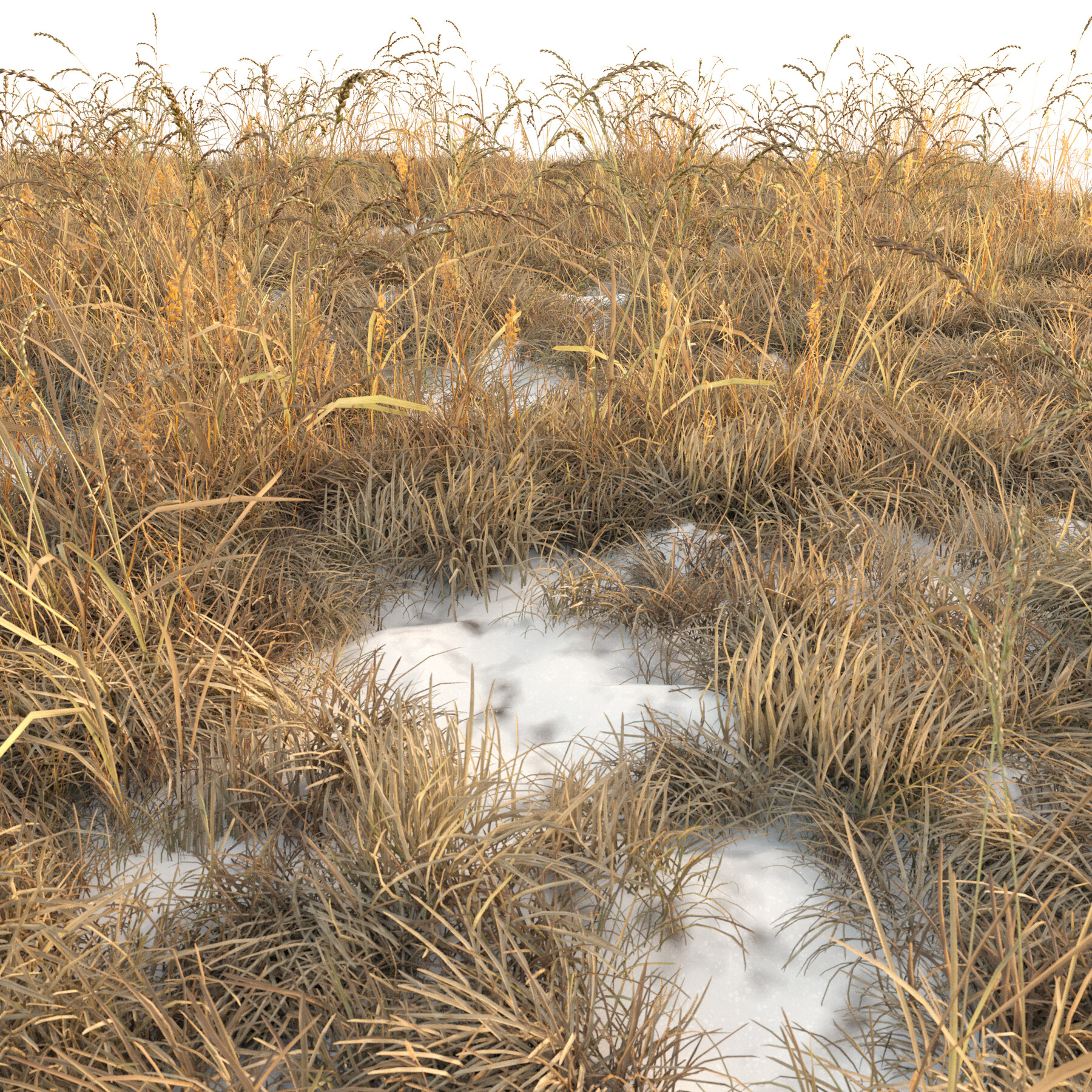 ArtStation Dry grass (Autumn grass with snow) Resources