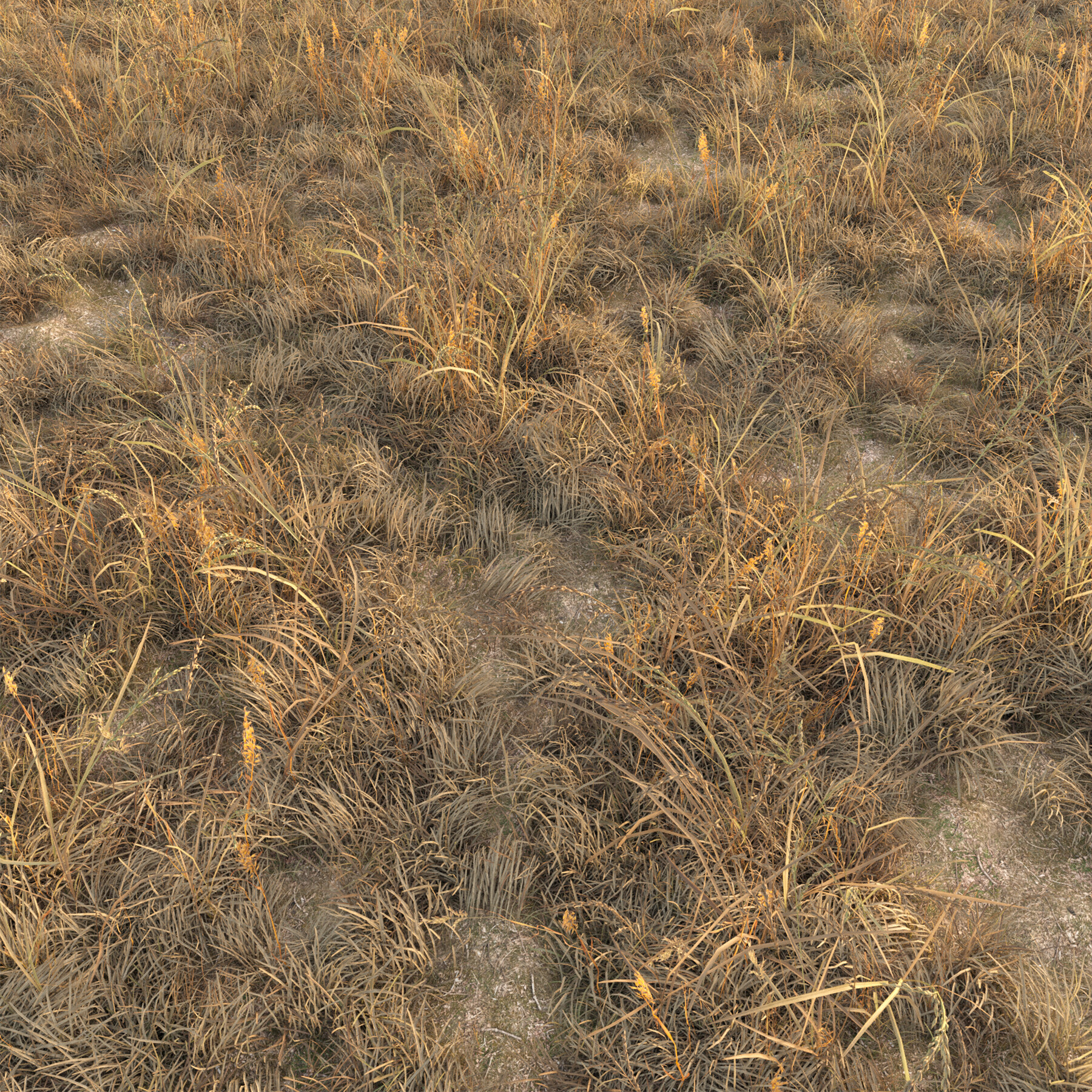 ArtStation Dry grass (Autumn grass with snow) Resources