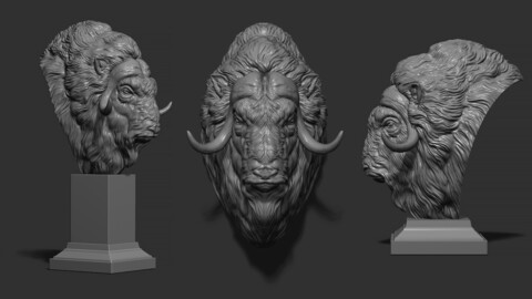 Musk ox head bust