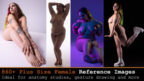 710+ Female Plus Size Anatomy Reference Images