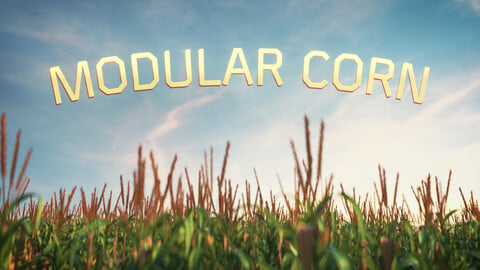 Modular corn