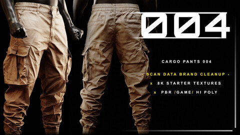 Cargo Pants 004