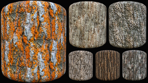 Wood Bark Texture 4K