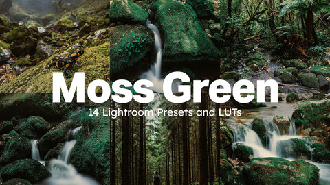 14 Moss Green LUTs and Lightroom Presets