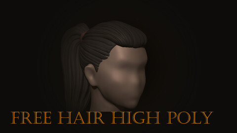 FREE HAIR HIGH POLY MODEL