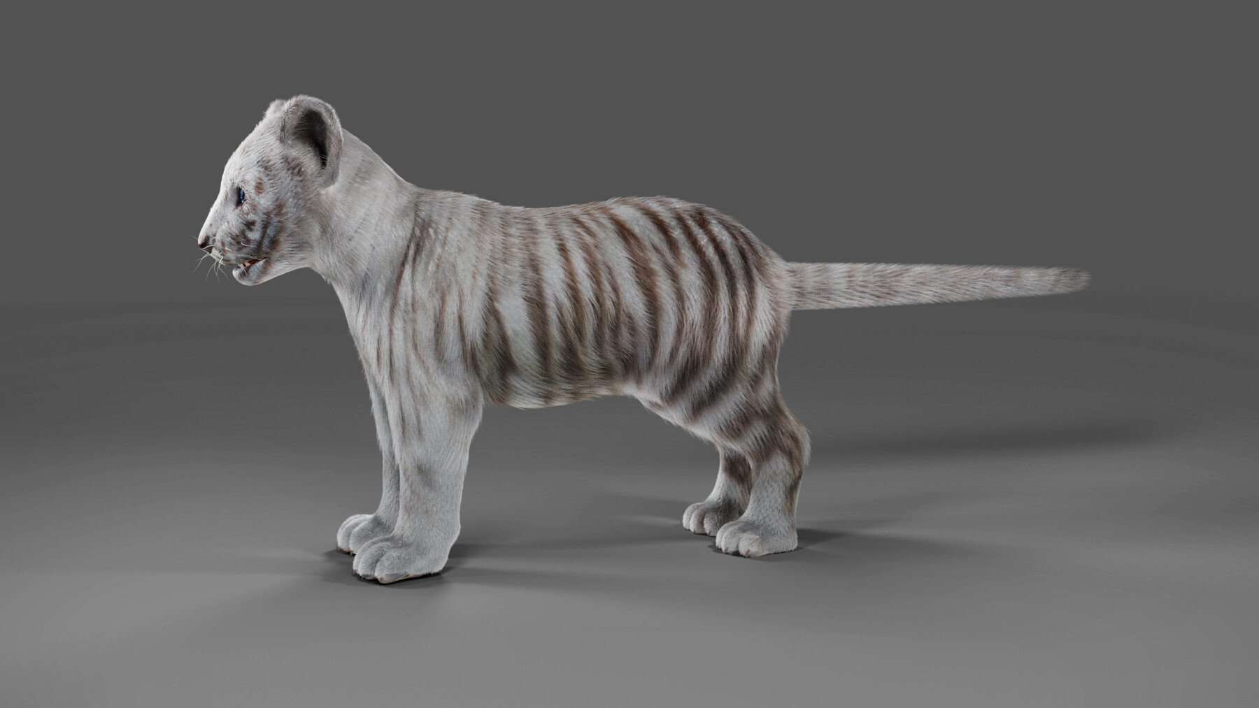 Bengal Tiger (FUR) (RIGGED)