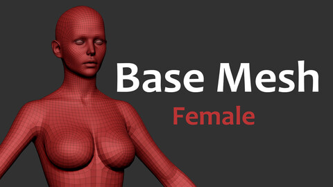 Female basemesh with good topology and UV