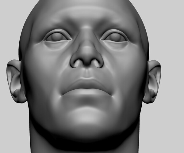 Artstation Base Male Head H Resources