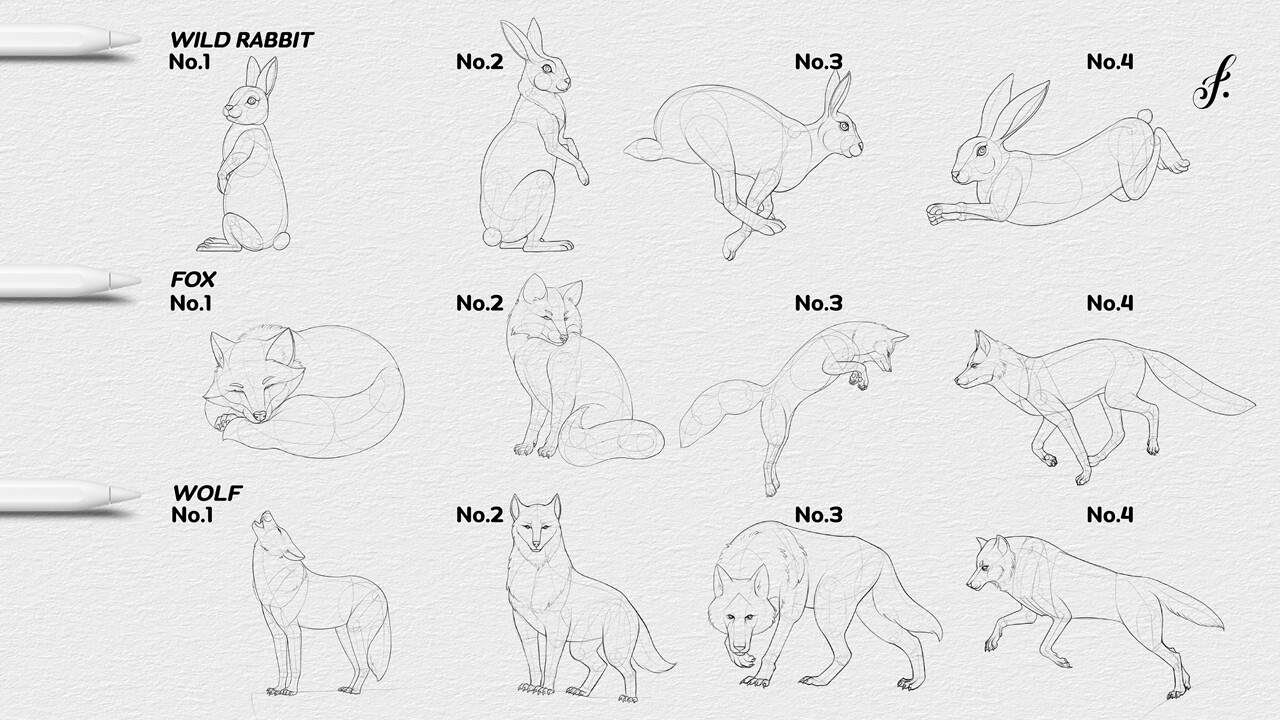 ArtStation Procreate Animal Stamps 95 Procreate Animal Brushes