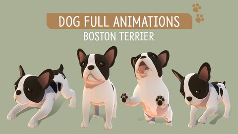DOG Full Animations - Boston Terrier