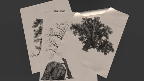 Forest Charcoal and Pencil Brushes + 3d model example