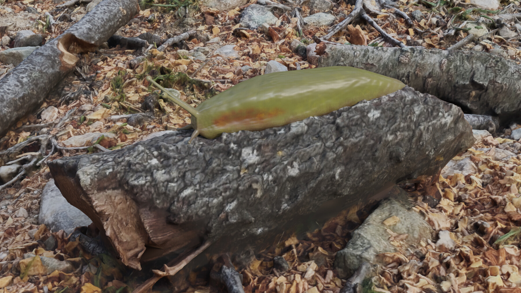 ArtStation - Slug | Resources