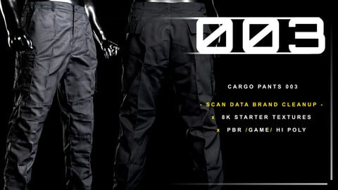 Cargo Pants 003