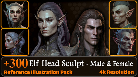 300 Elf Head Sculpt (Male and Female) Reference Pack | 4K | v.4