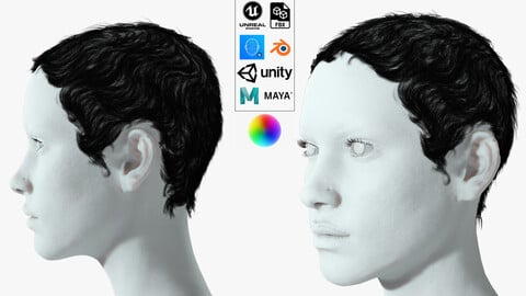 Realistic Female hair afro Low-poly