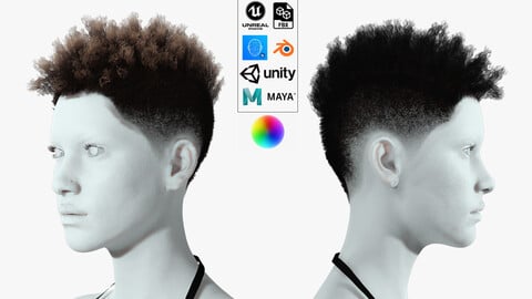 Realistic hair afro short female