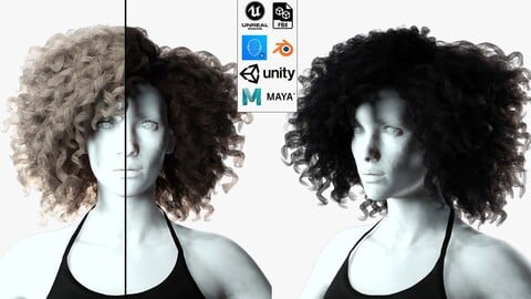 Realistic Female hair curly Low-poly