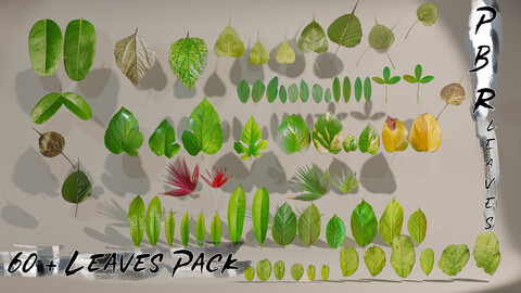 60+ Leaves Pack (PBR, Game-Ready)