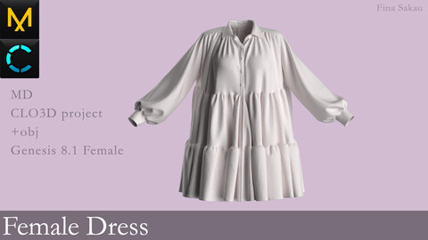 Female Dress #11. Marvelous Designer / Clo 3D project +obj