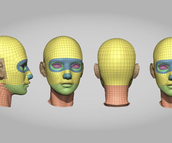 ArtStation - Head base mesh with Retopology | Resources