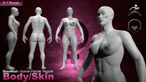 Human Female [ Body/Skin Basemesh ] Regular
