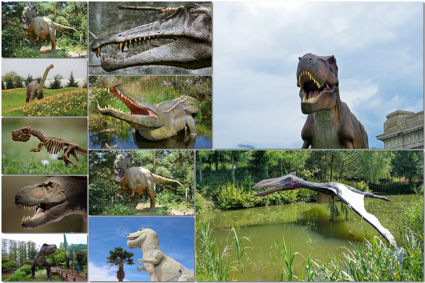 100 Dinosaurs Photo Overlay Rex Tyrannosaurus T-rex Photoshop 