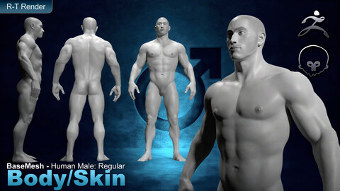 Human Male [ Body/Skin Basemesh ] Regular