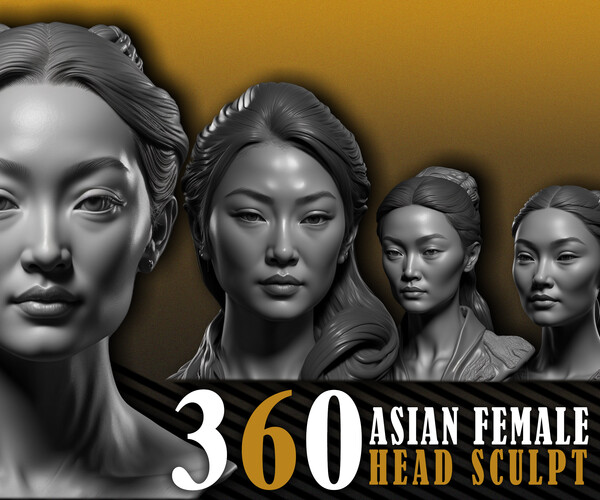 ArtStation - 360 Asian Female Head Sculpt , Reference For Artist ...