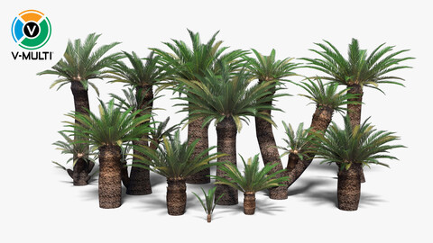 3D Model: Low Poly Cycads Collection