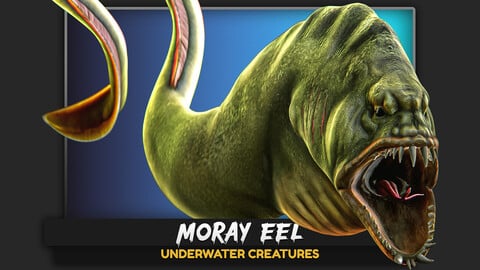 Fish low poly model / Moray Eel lowpoly fish / ocean horror / monster fish / #4