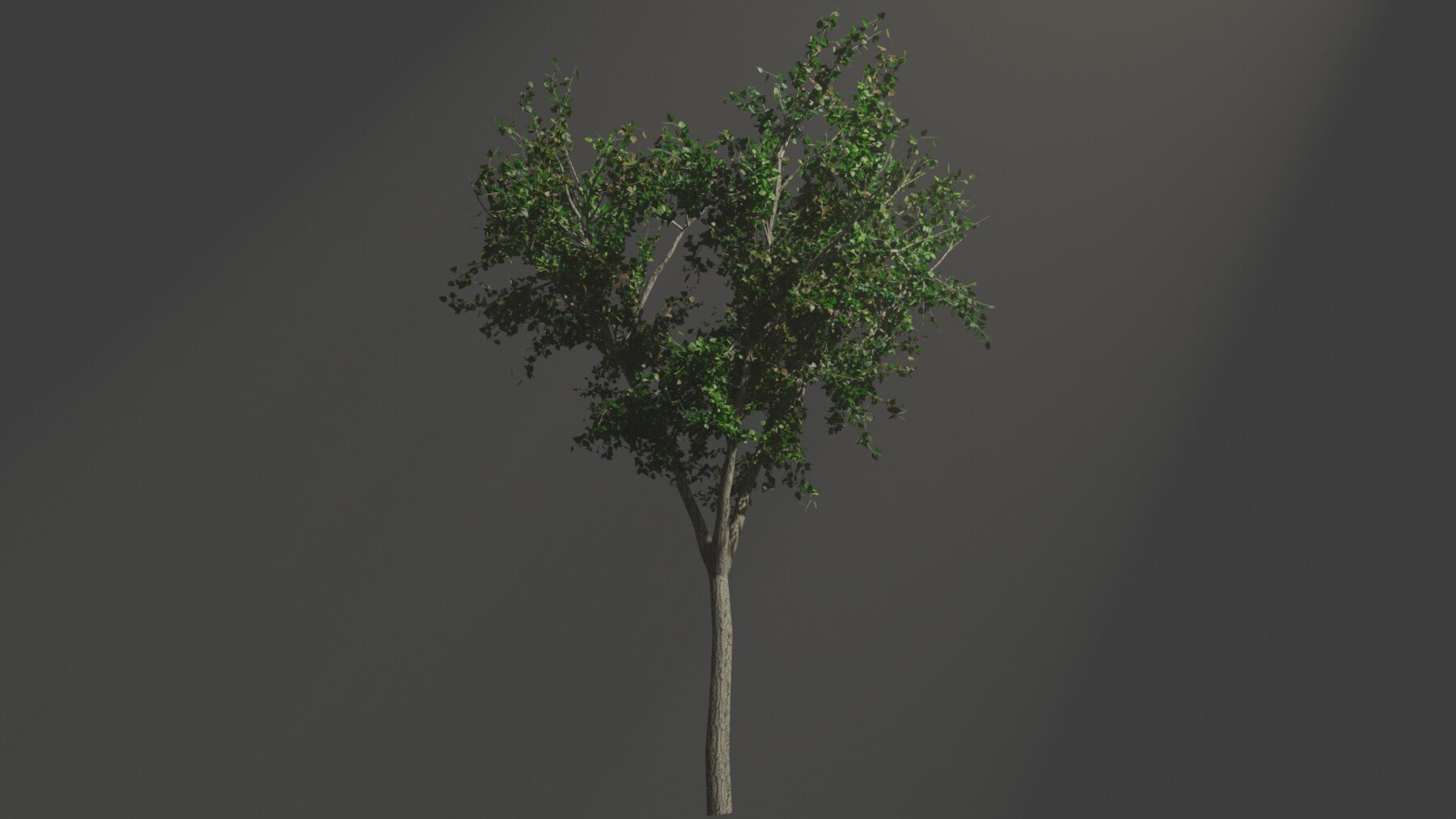 ArtStation - tree | Resources