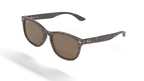 Ray Ban Polarized Brown Classic Tortoise Frame Sunglass 3D Model