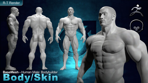 Human Male [ Body/Skin Basemesh ] Bodybuilder