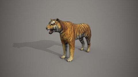 Bengali Tiger