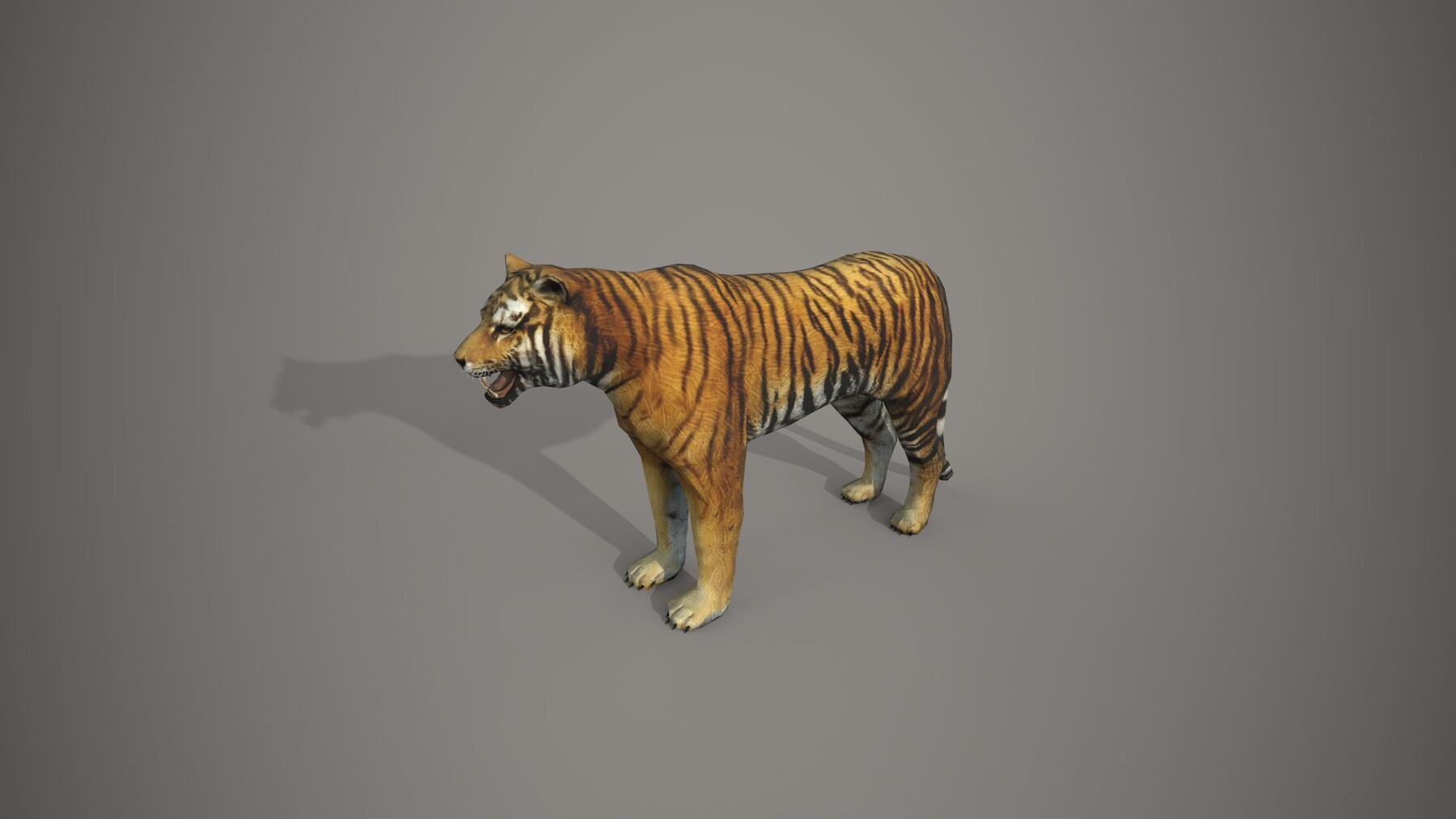 ArtStation - Bengal Tiger (Fur)