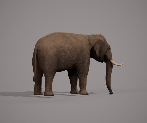 product thumbnail 58